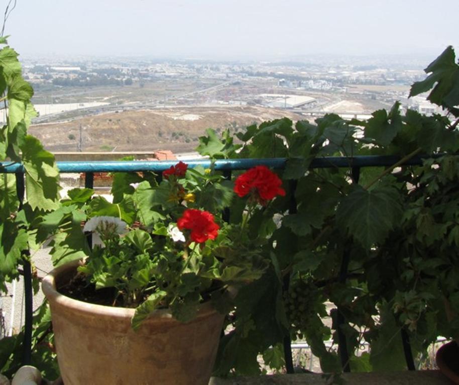 The Artist'S House Overlooking The Bay Of Haifa Exteriör bild